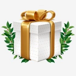 Pinco Gift Boх