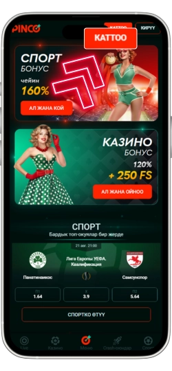 Pinco kg