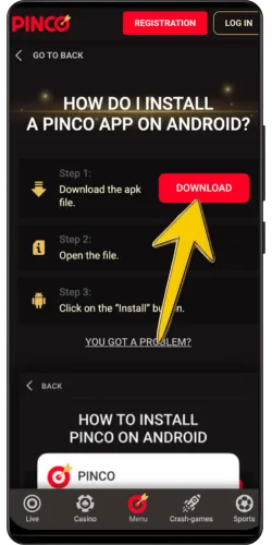 Pinco download confirmation